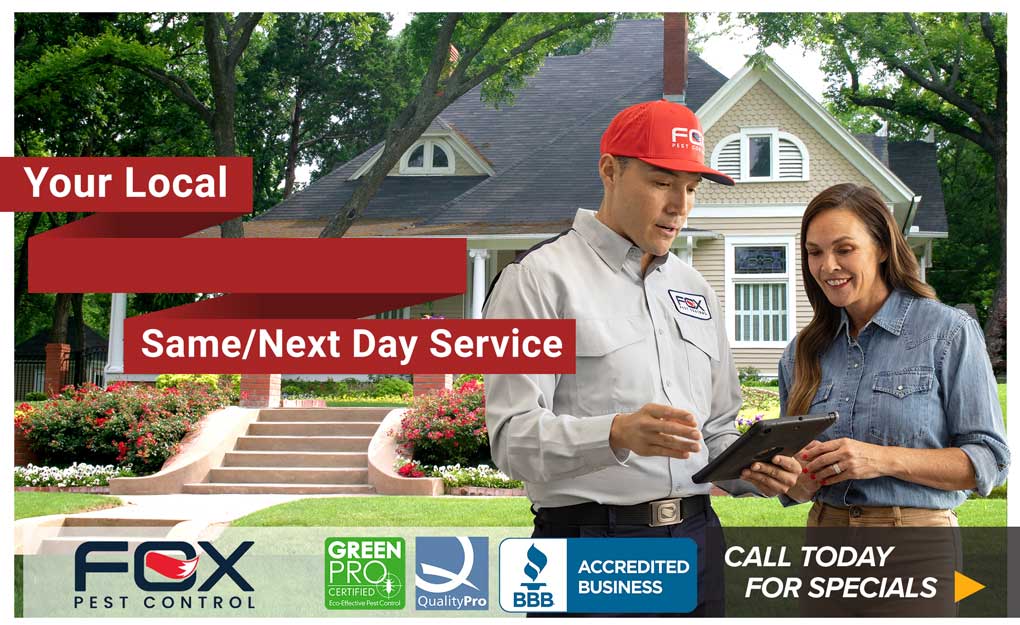 Termite Inspection Services Fox Pest Control